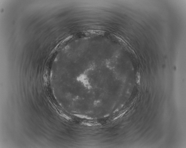 X0000081610915200702051350