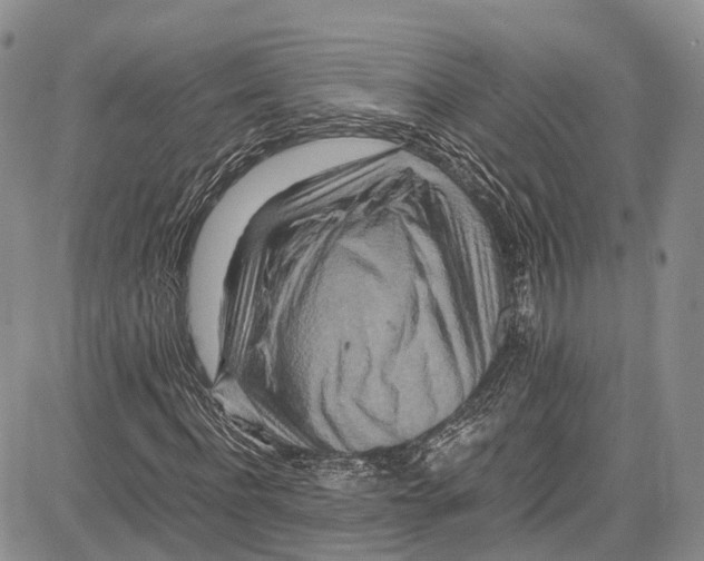 X0000081610916200702051350