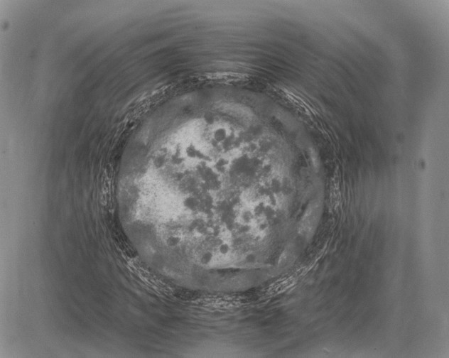 X0000081610917200702051350