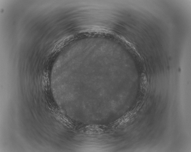 X0000081610918200702051350