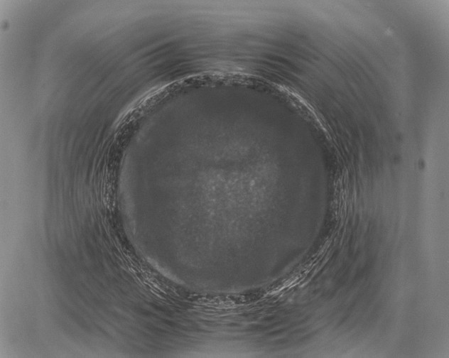 X0000081610919200702051350