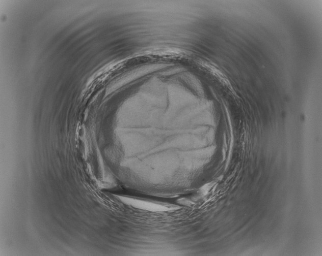 X0000081610920200702051350