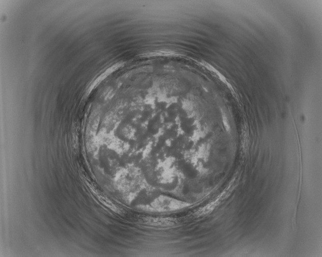 X0000081610921200702051350