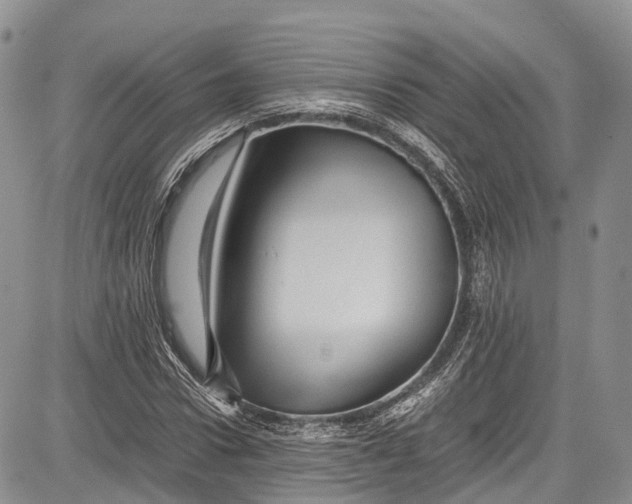 X0000081610922200702051350