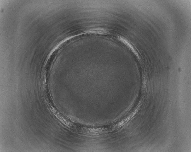 X0000081610923200702051350