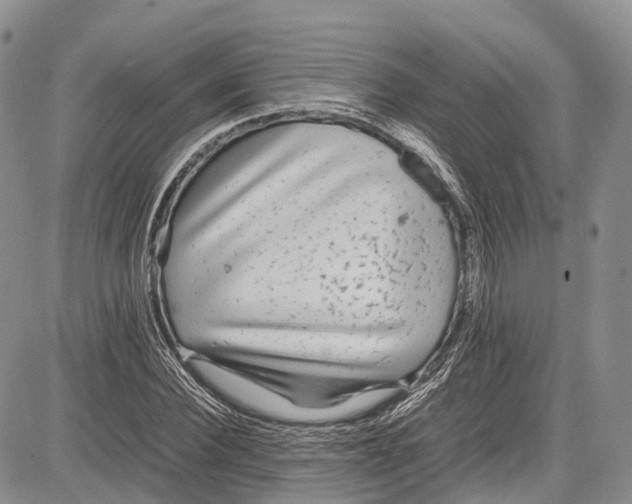 X0000081610924200702051350