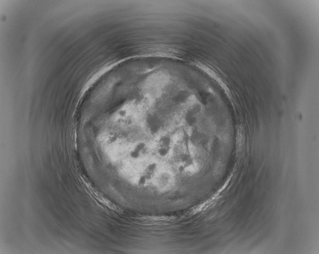 X0000081610925200702051350