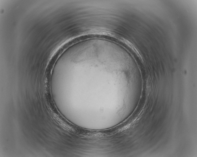 X0000081610926200702051350