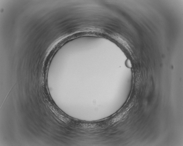 X0000081610927200702051350