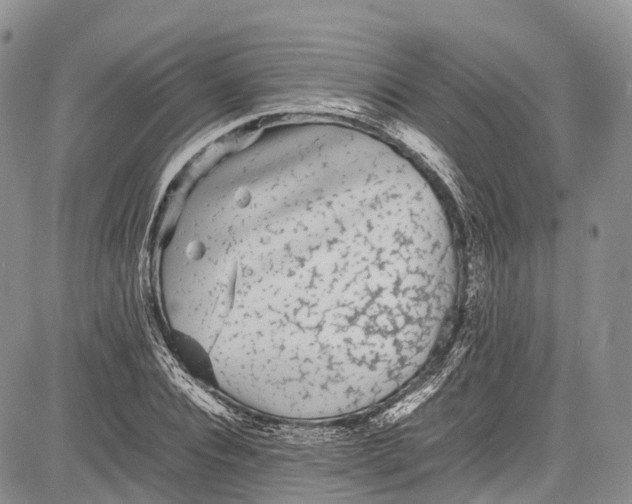 X0000081610928200702051350