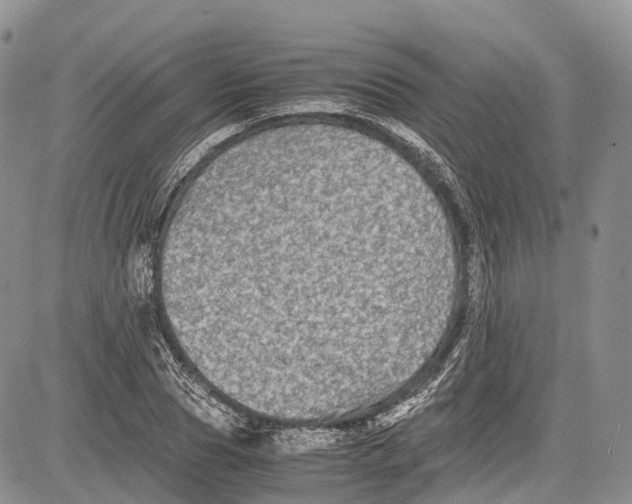 X0000081610929200702051350