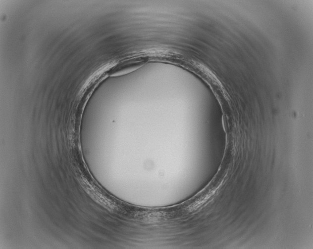 X0000081610930200702051350