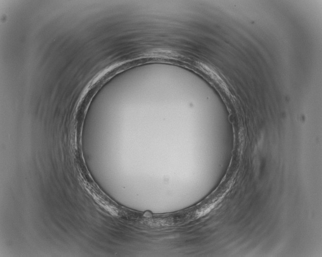 X0000081610931200702051350