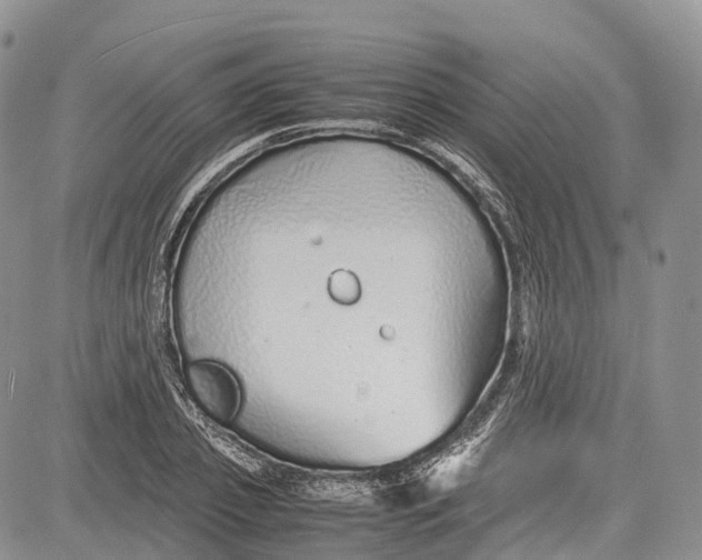 X0000081610933200702051350