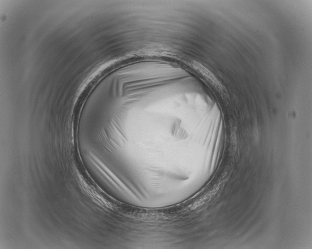 X0000081610934200702051350