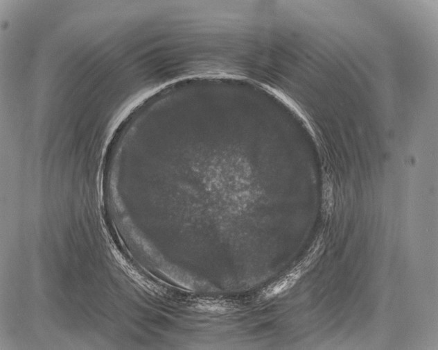 X0000081610935200702051351