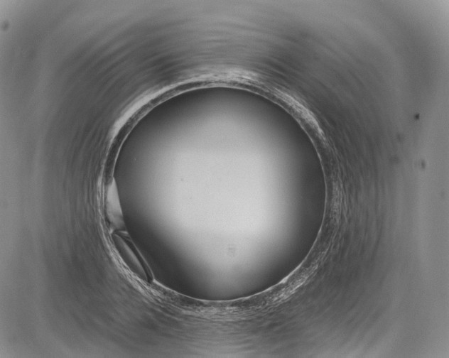 X0000081610936200702051351