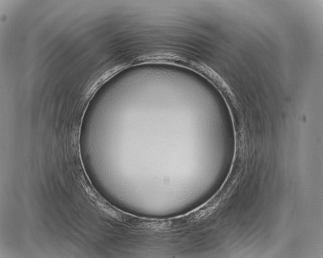 X0000081610937200702051351