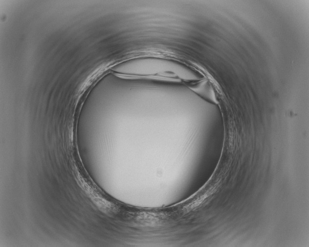 X0000081610938200702051351