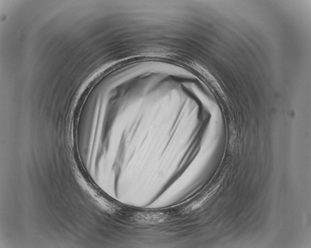 X0000081610939200702051351