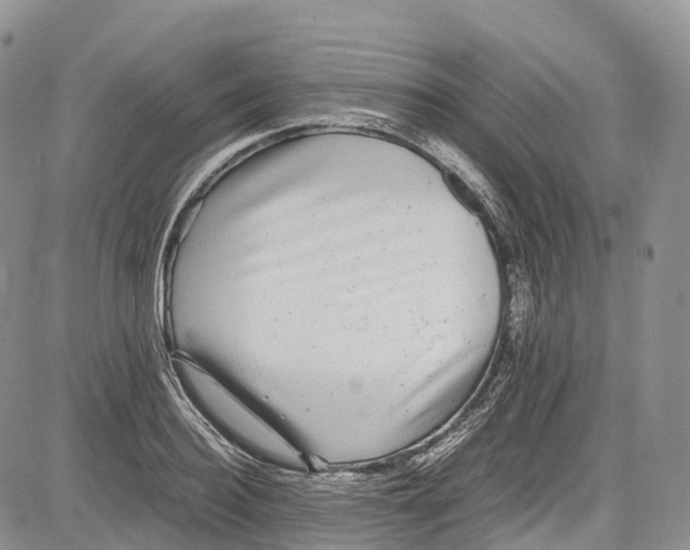 X0000081610940200702051351