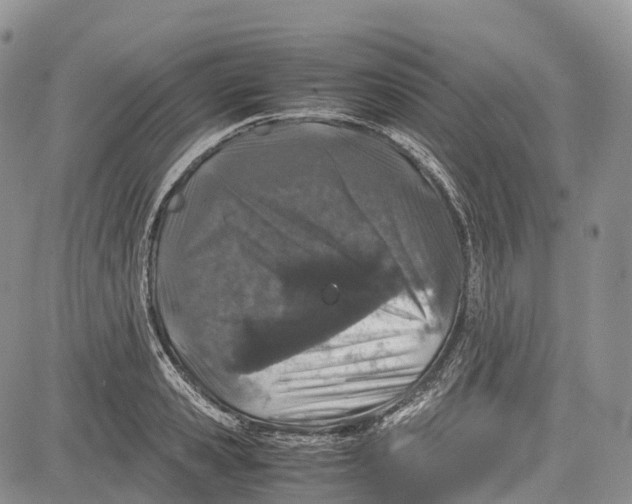 X0000081610941200702051351