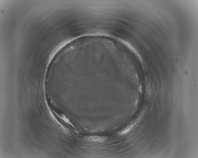 X0000081610943200702051351