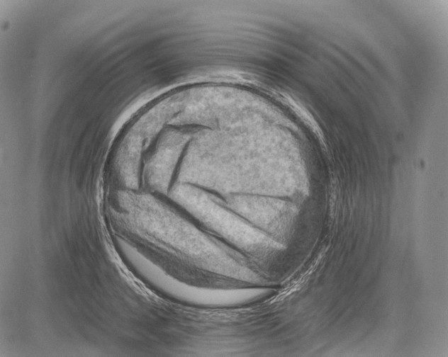 X0000081610944200702051351