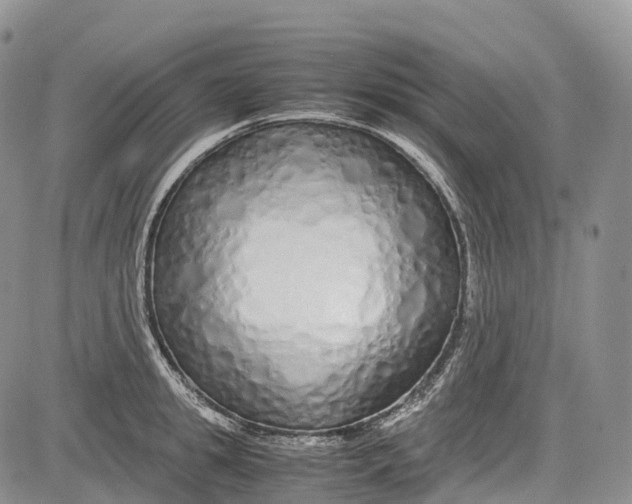 X0000081610949200702051351