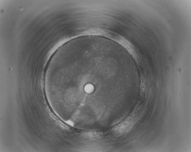 X0000081610950200702051351