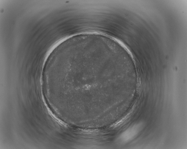 X0000081610951200702051351