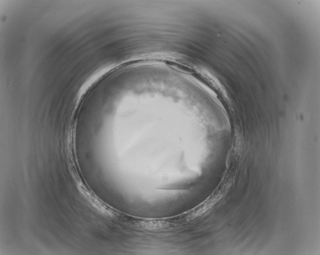 X0000081610952200702051351