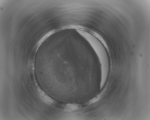 X0000081610954200702051351