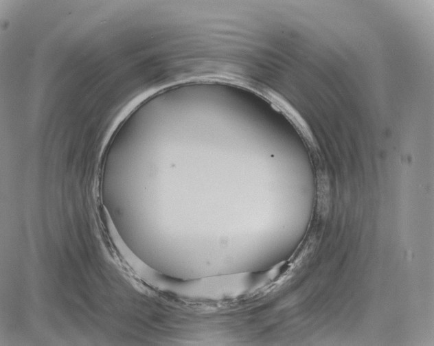 X0000081610956200702051351