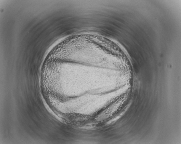 X0000081610957200702051351