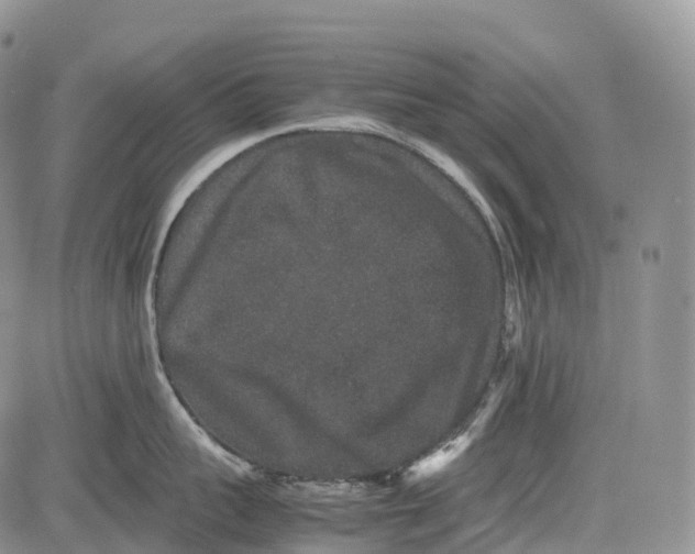 X0000081610959200702051351