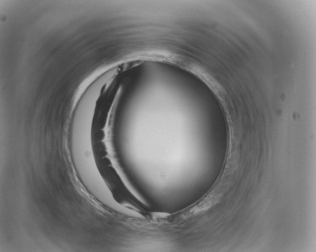 X0000081610960200702051351