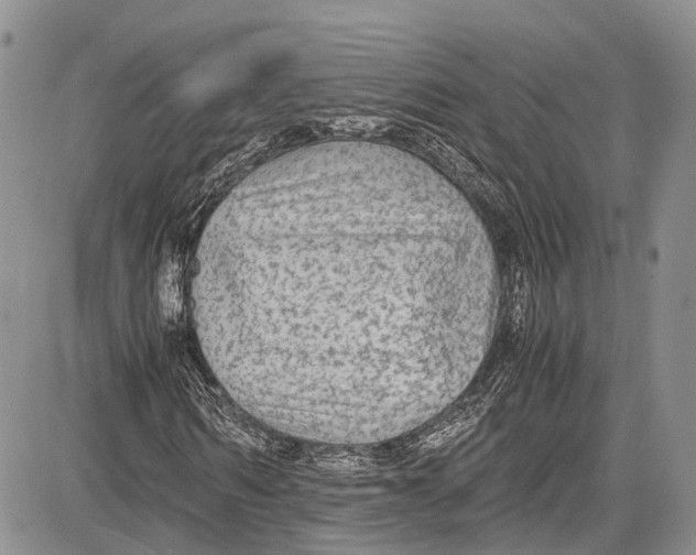 X0000081610962200702051350