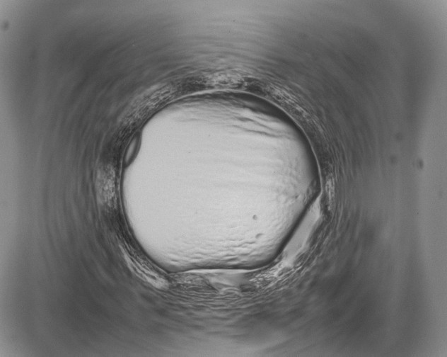 X0000081610963200702051350