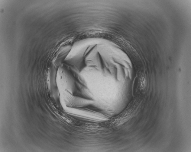 X0000081610964200702051350