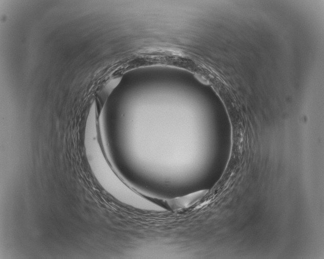 X0000081610965200702051350