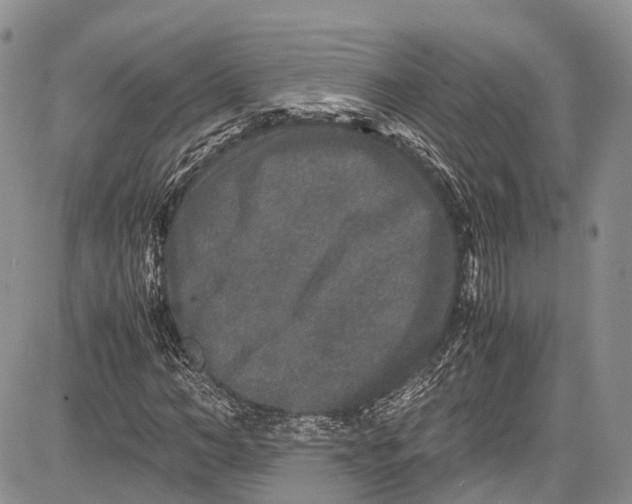 X0000081610966200702051350