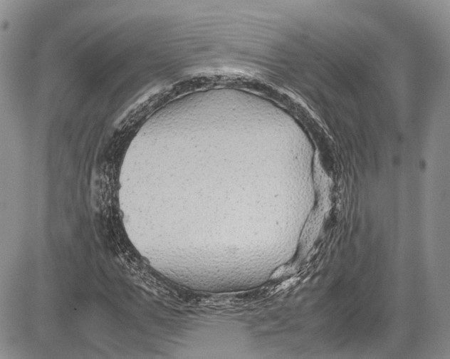 X0000081610967200702051350