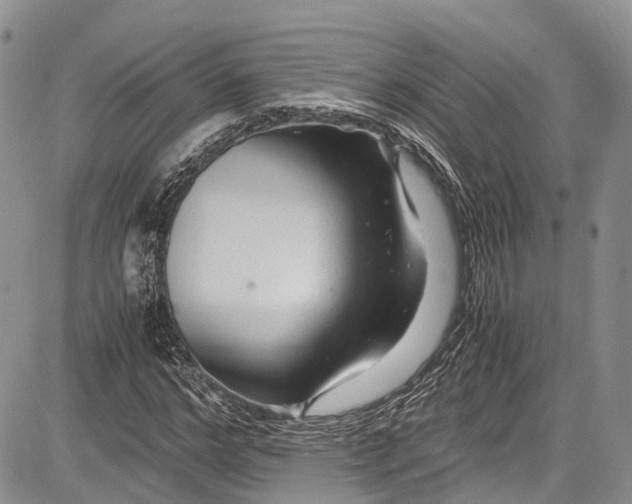 X0000081610968200702051350