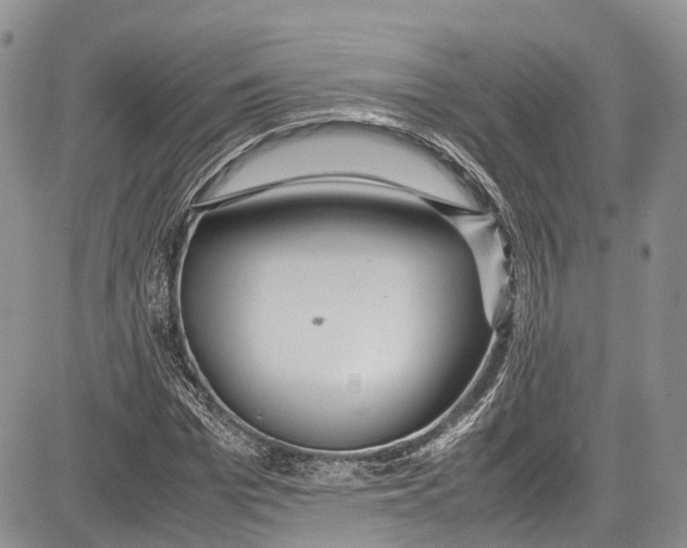 X0000081610969200702051350