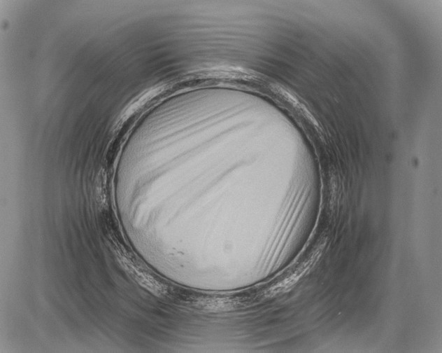 X0000081610970200702051350