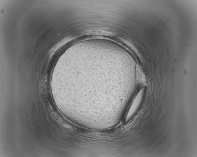 X0000081610971200702051350