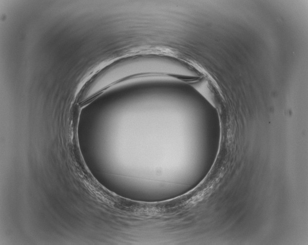 X0000081610973200702051350