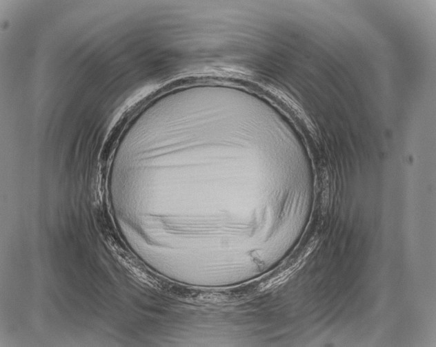 X0000081610974200702051350