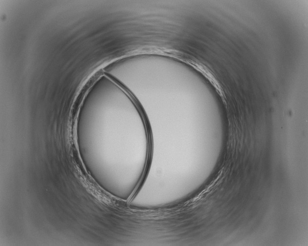 X0000081610976200702051350